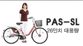 �߸��� PAS-SL