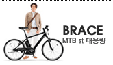 �߸��� BRACE-L